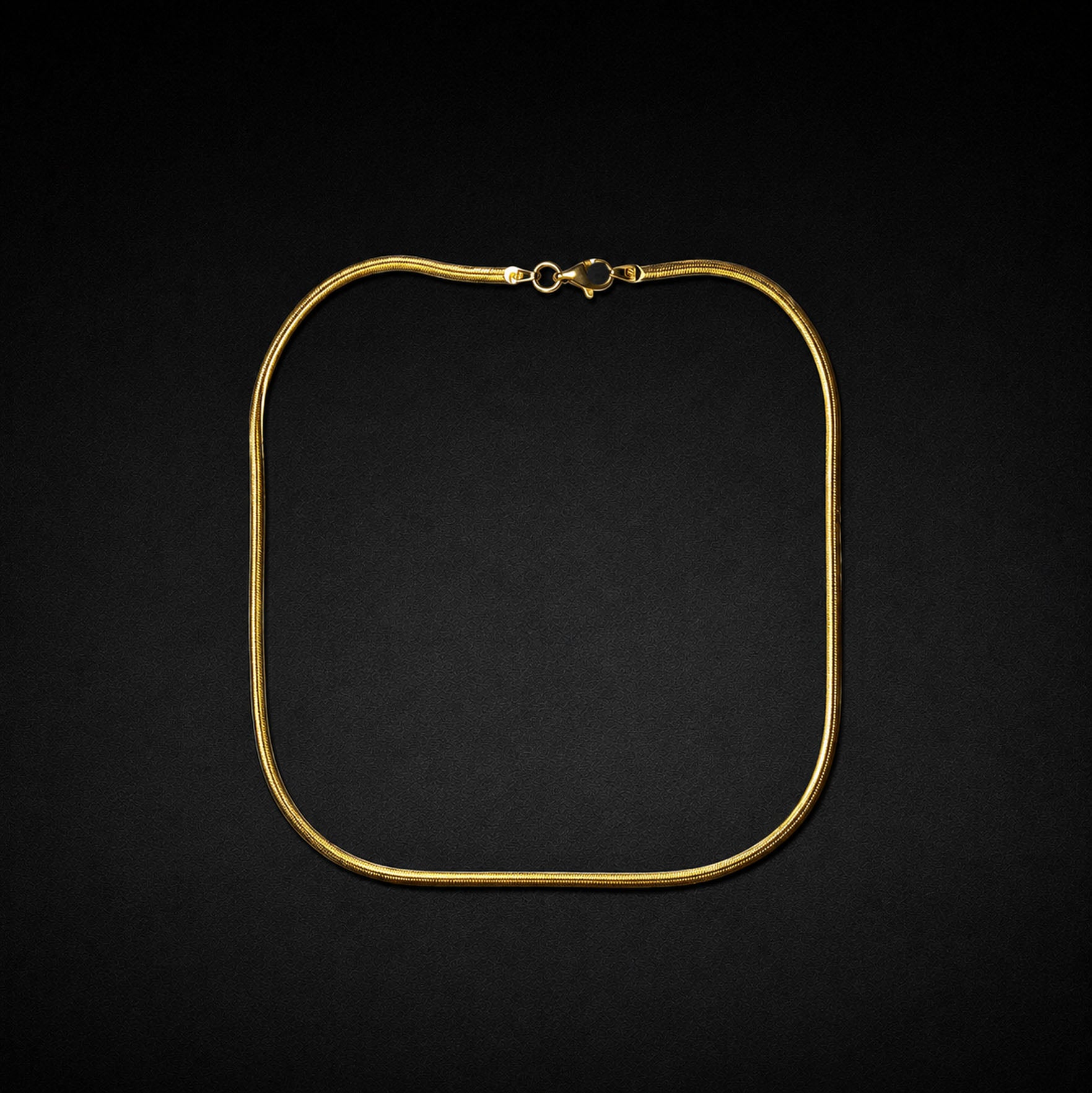 The Golden snake Necklace